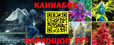стаф Севастополь