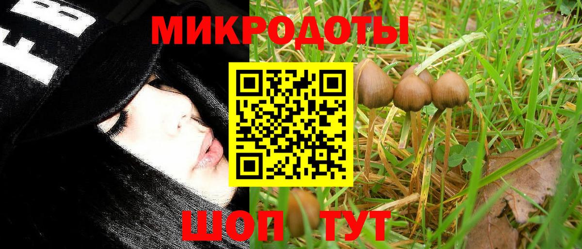 Галлюциногенные грибы ЛСД Орехово-Зуево